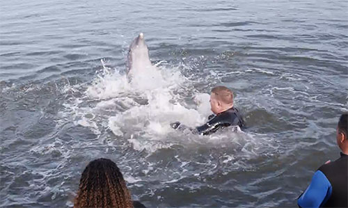 Warriors interact with dolphins at the Dolphin Research Center in January 2023, after the annual Soldier Ride in Miami and the Florida Keys.